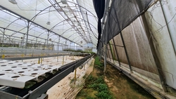 D' Kranji Farm Resort (D24), Land #517423911